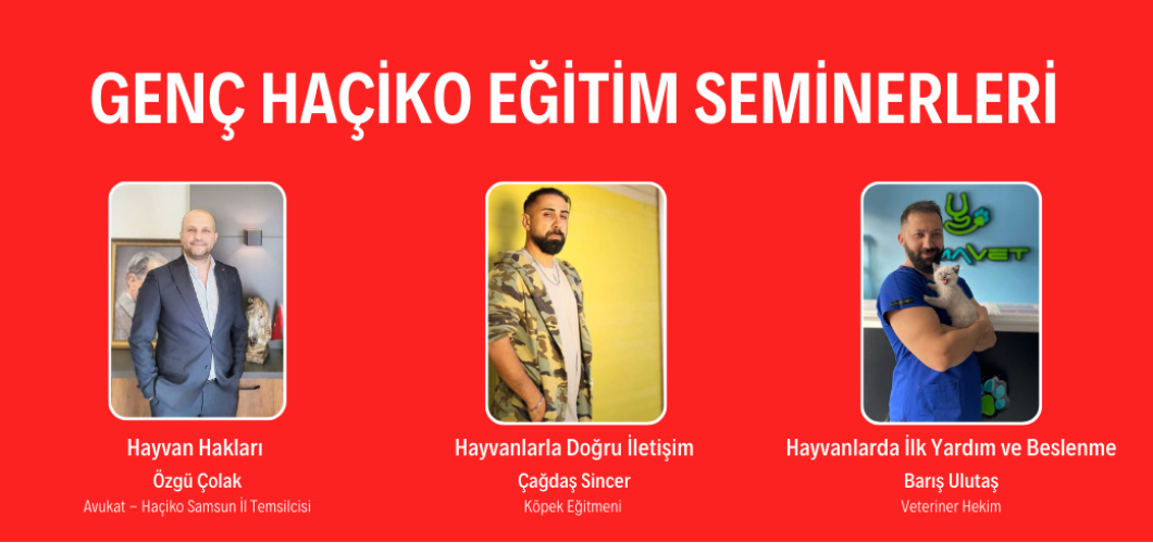 Genç Haçiko Eğitim Semineri Devam Ediyor.