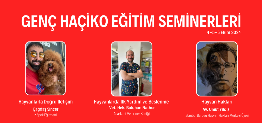 Genç Haçiko Eğitim Seminerlerini Tamamladık.